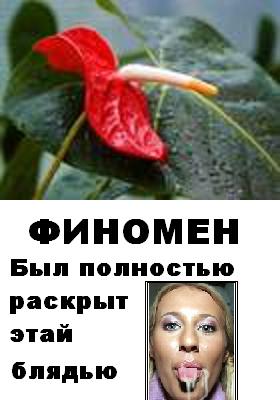 Фотожаба: Желтая пресса