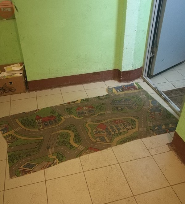 Подборка безудержного веселья