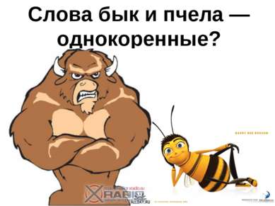 League Europe Сезон 2016/2017. Финал. Аякс - МЮ