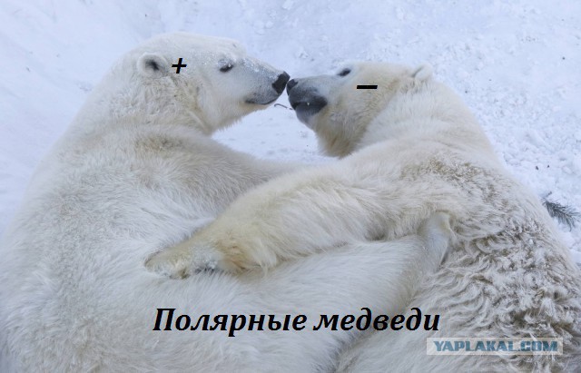 Подборка интересных и веселых картинок