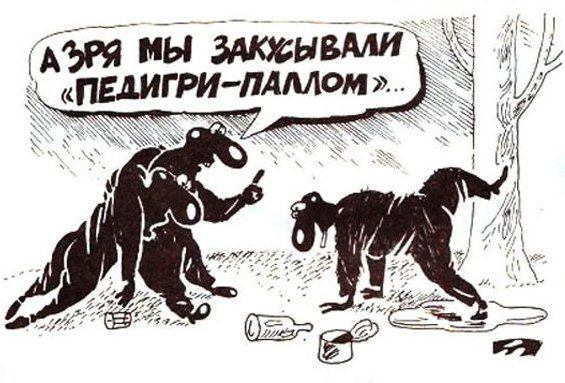 Плавучий говнодемон. Врач скорой — о любителях водных процедур