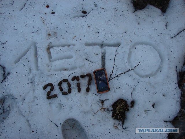 Летний отдых на море