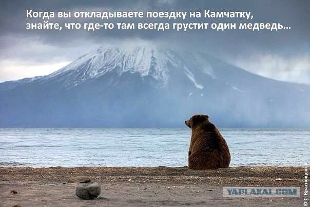 Камчатка сентябрь 2016г