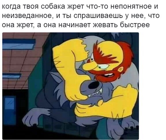 А сегодня Вы деградировали?