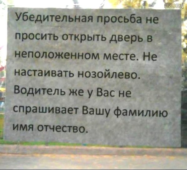 Перлы