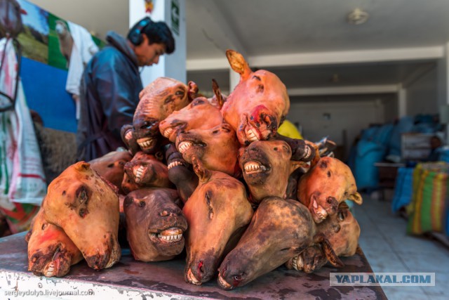 Хочешь увидеть колорит страны - иди на рынок. Рынок в Перу