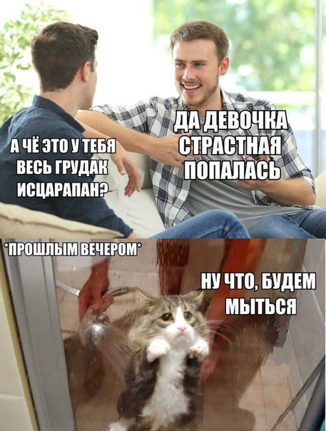 Нестандартный юмор