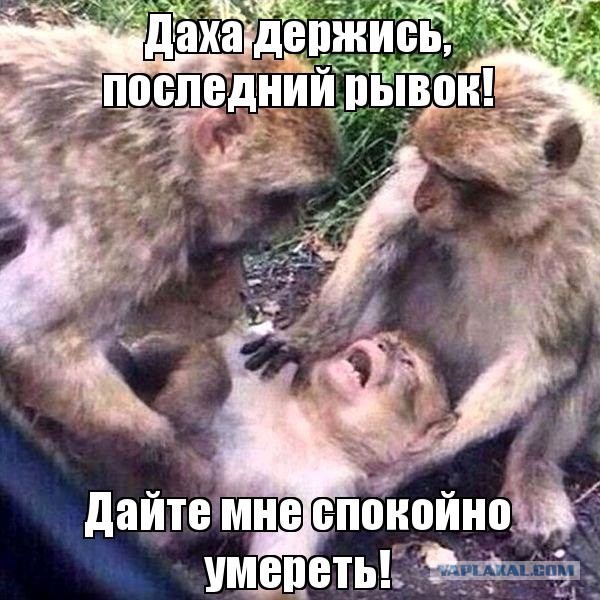 В правительстве предложили россиянам еще три года потерпеть