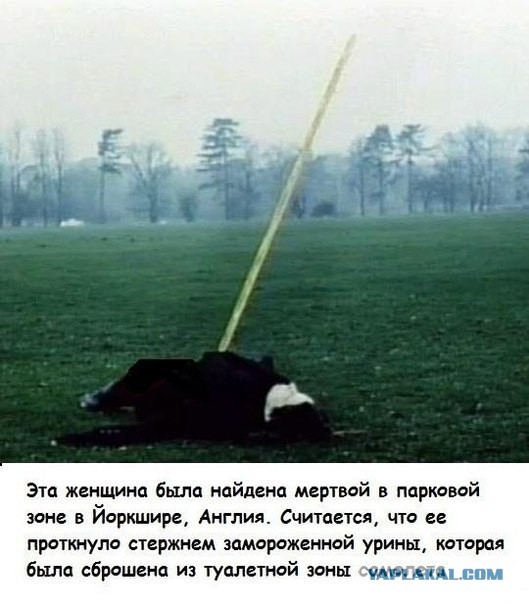 Девушка сфотографировала как травят москвичей