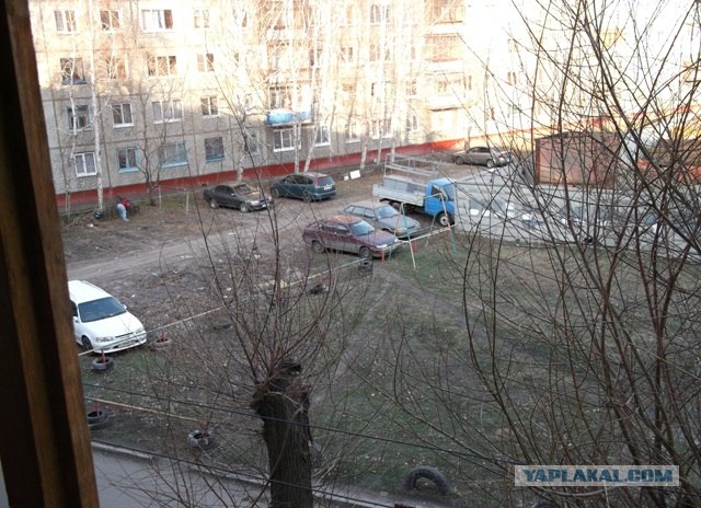 Котовторник 17.04.2012