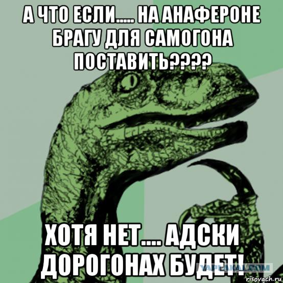 Ещё раз о гомеопатах, ВИЧ-диссидентах, мракобесии и отечественном телевидении.