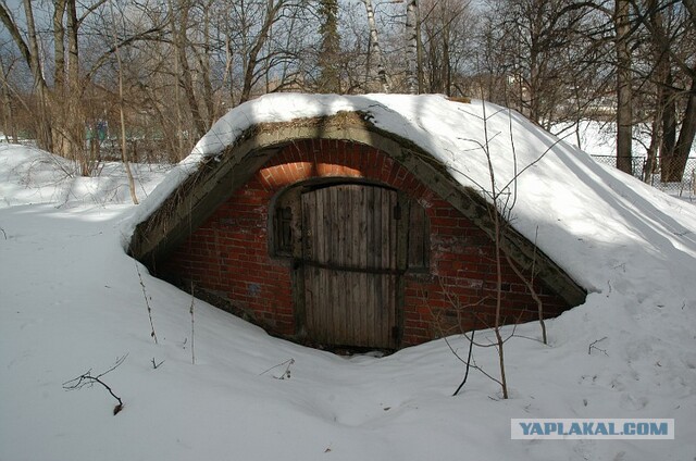 Фото, которые покажут кое-что новое об устройстве мира