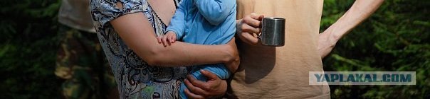 Человек, который живет в лесу и делает сайты.