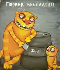 В Самарской области батюшка с женой продают почку, чтобы собрать денег на приезд патриарха