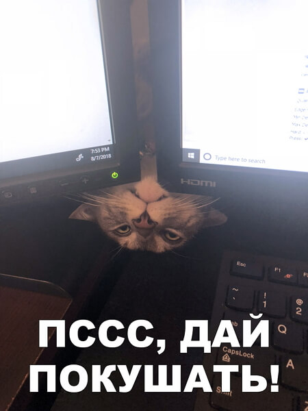 Картинки с надписями и анекдоты 17.09.19