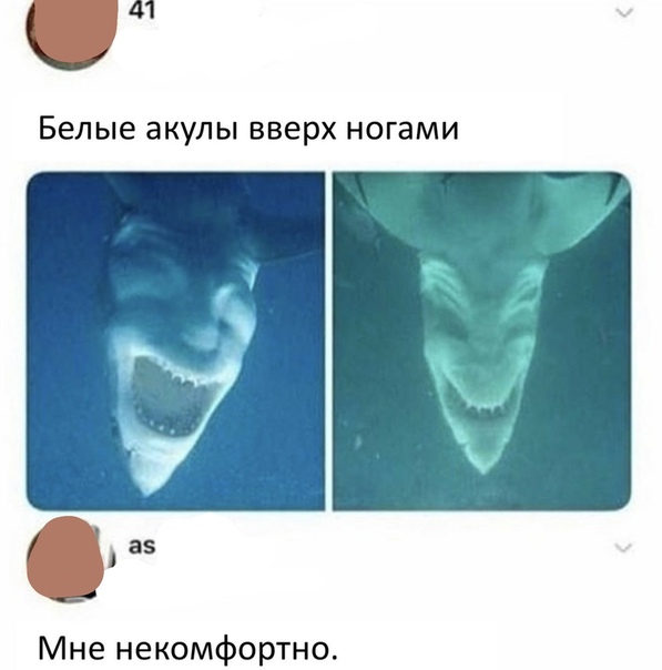 Немного картинок для настроения