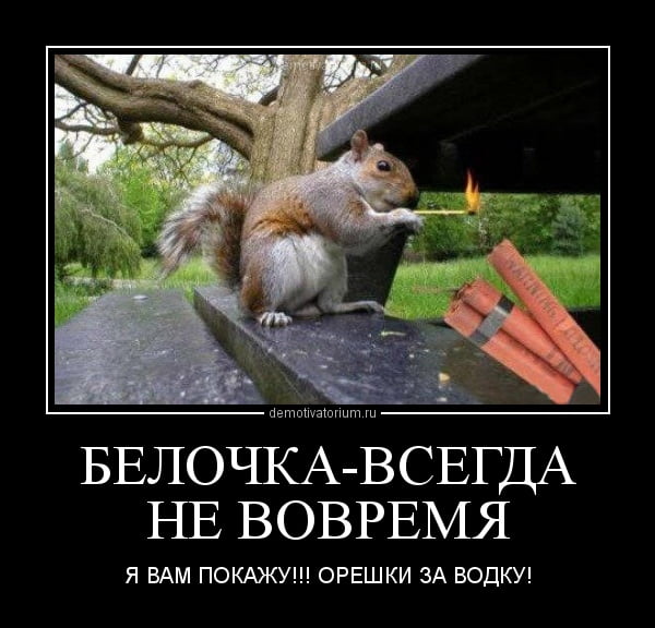 Небольшая субботняя алкоподборка