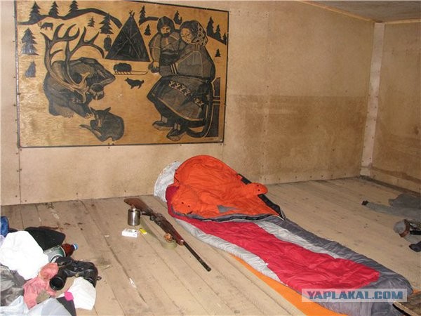 Экспедиция в Северную Тайгу