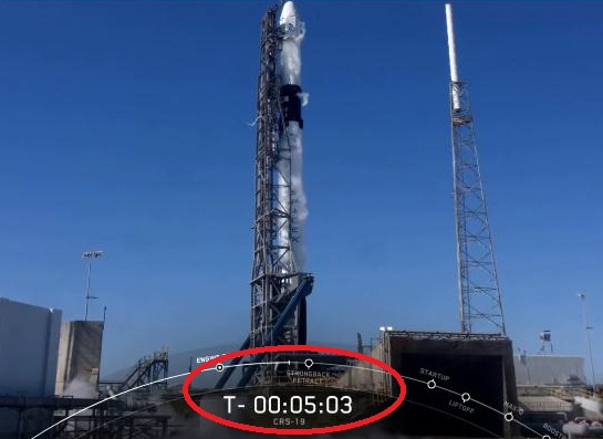 Мышиная тяга Falcon 9