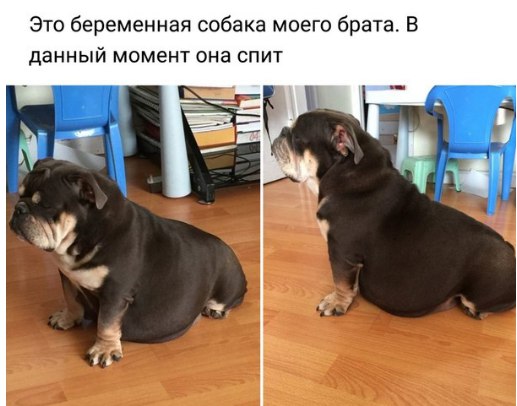 Калейдоскоп Картинок