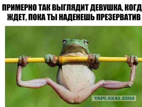 Опыт