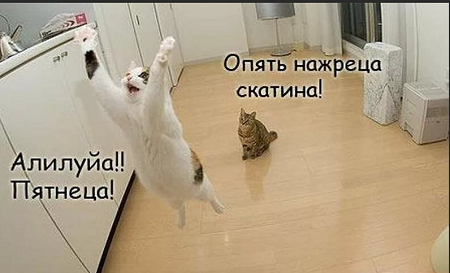 Женские манипуляции, которые нужно сразу же пресекать