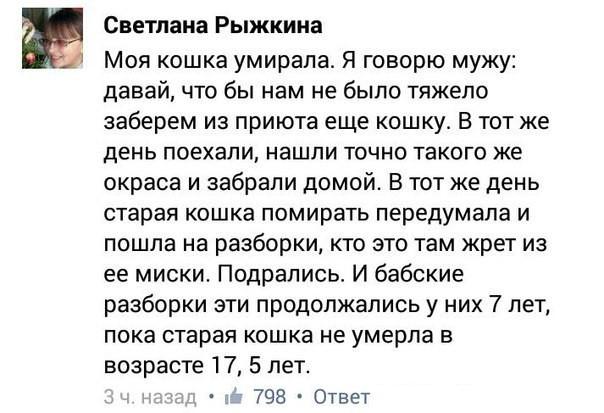 Пандемия. Коронавирус. Россия и мир. Последняя информация. Часть 12