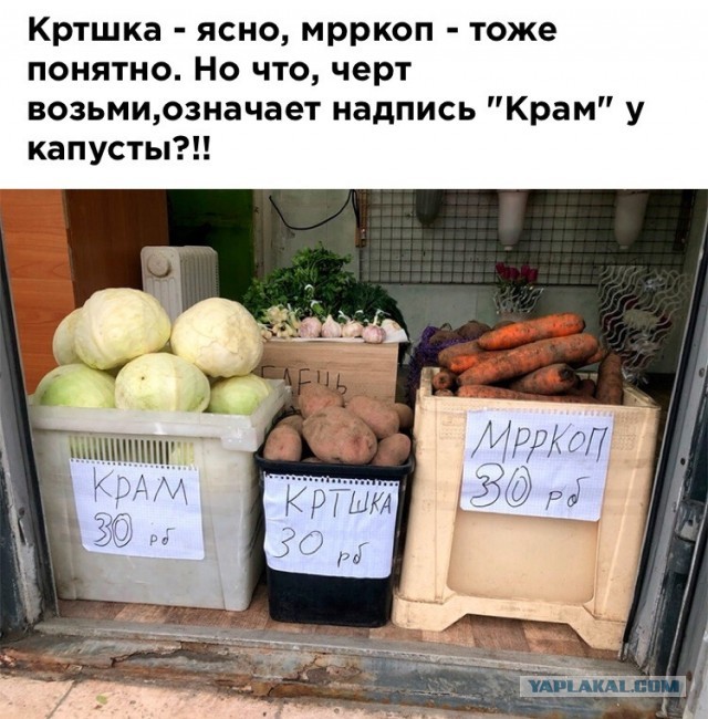 Чуток картинок 18.04.20