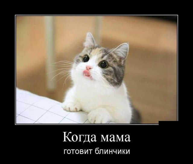 Прикольные и просто красивые картинки 15.09.20