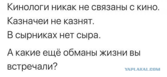 Бредзона 28.09.20
