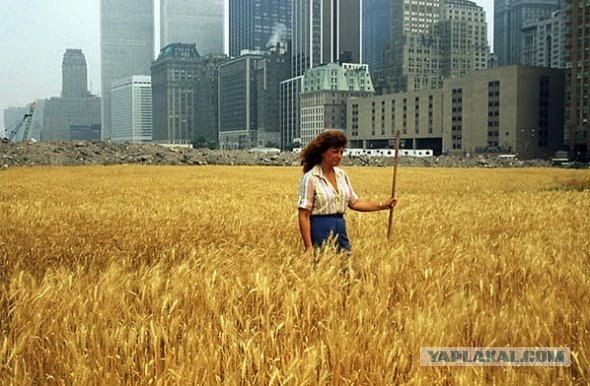 Фотожаба: ТВ программа