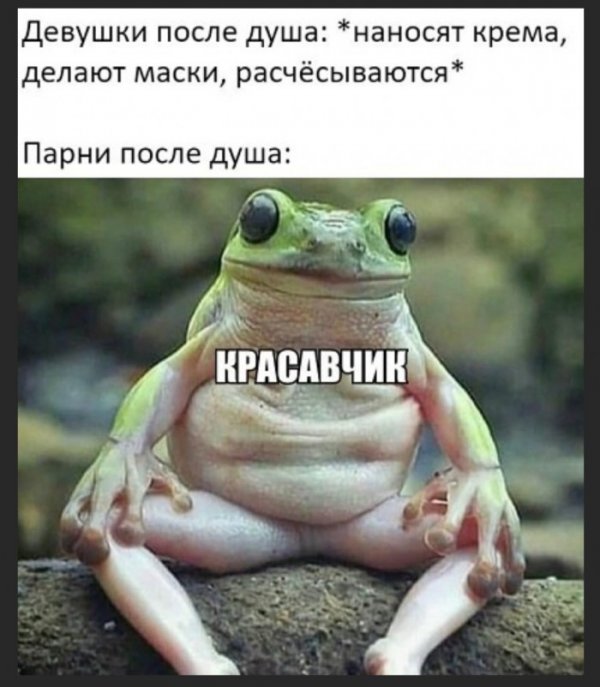 Прикольные и просто красивые картинки 26.10.2020
