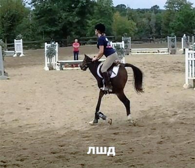 Картинки и мемы для настроения 004
