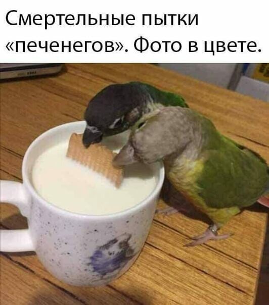 Картинки и мемы для настроения