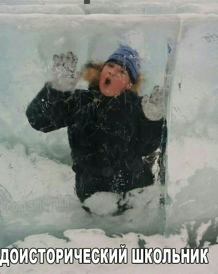 Скажите коню, что он не кот