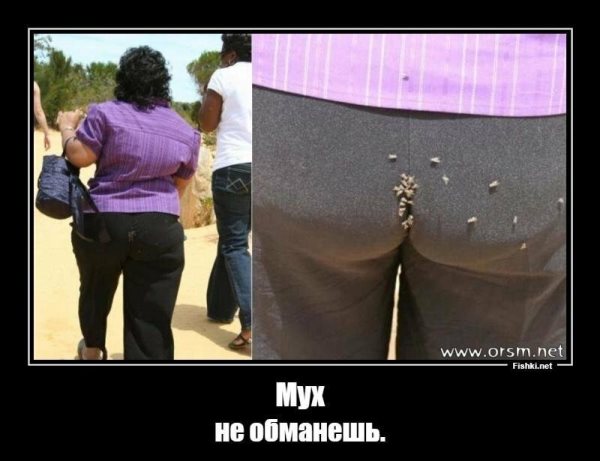 Жизнь трезвого холостяка