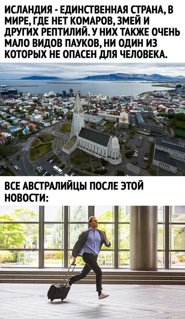 Так себе картинки 06.07.21