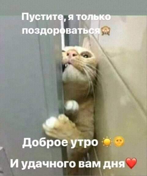 Весёлый полтишок 6.08
