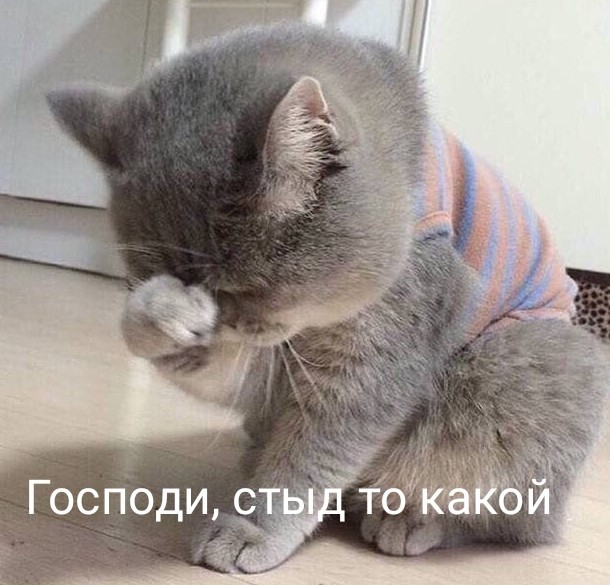 «Это тяжело объяснить простыми словами»: по данным Росстата, в стране переписались свыше 100% жителей