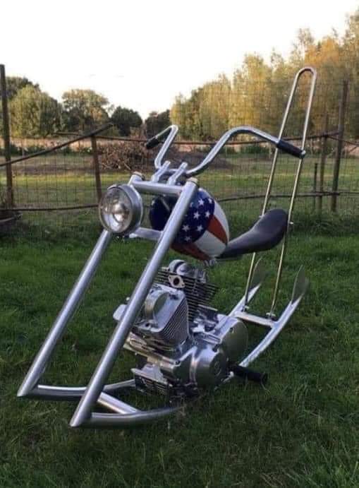 Всяческие картинки 19.11.2021