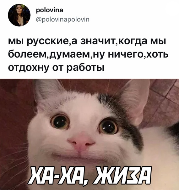 Картинки и мемы всем прекрасных выходных