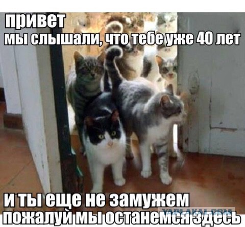 О семейных ценностях. Жиза, такая, что вам и не снилась