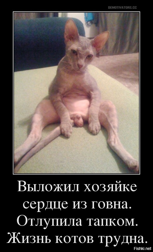 Все что нужно знать о семейной жизни