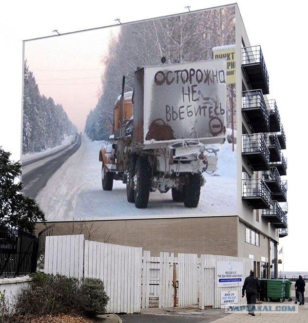 Дом, в который врезаются гуси
