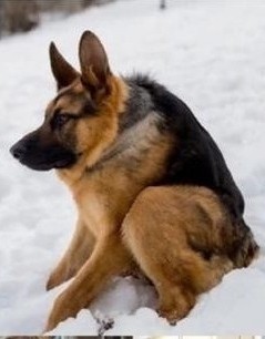Пьятничные фото