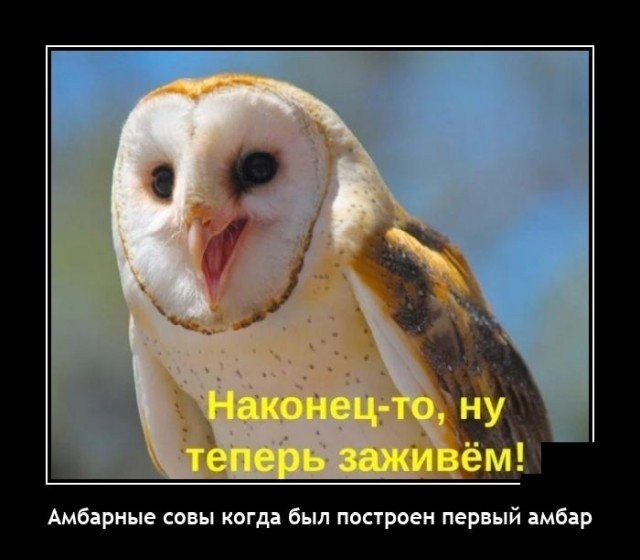 Картинки с надписями 26.07.22