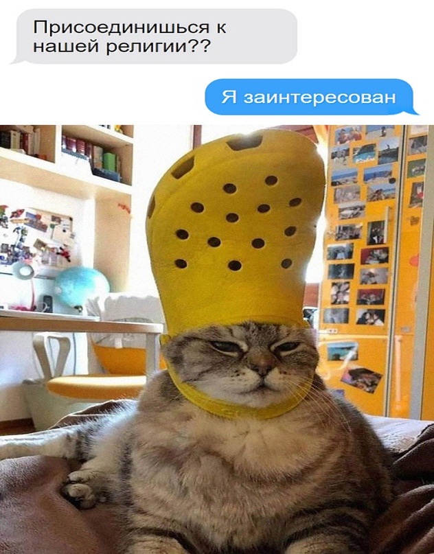 Картинки и мемы. Выходные близко, близко...