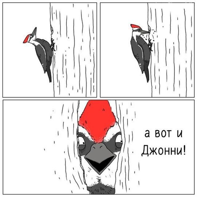 Картинки и мемы для настроения - 17