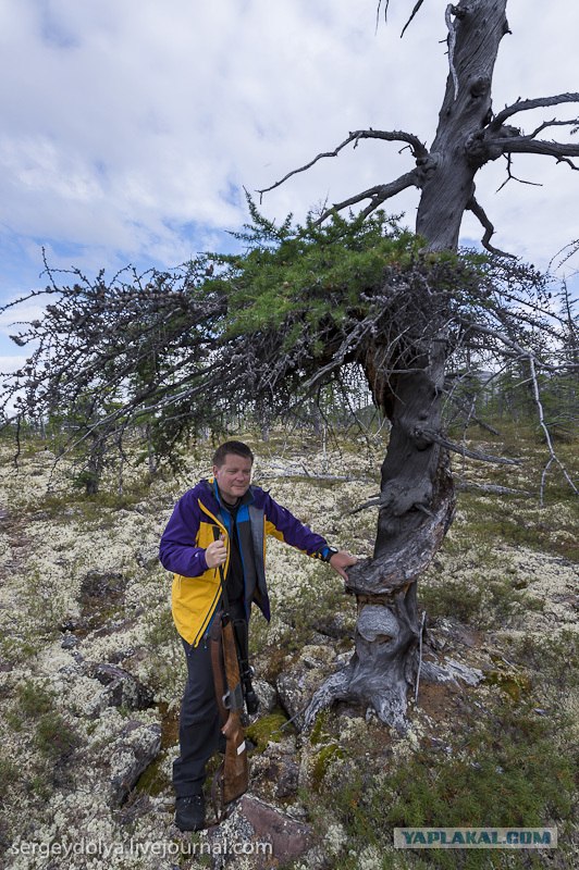 Сплав по реке Котуйкан.