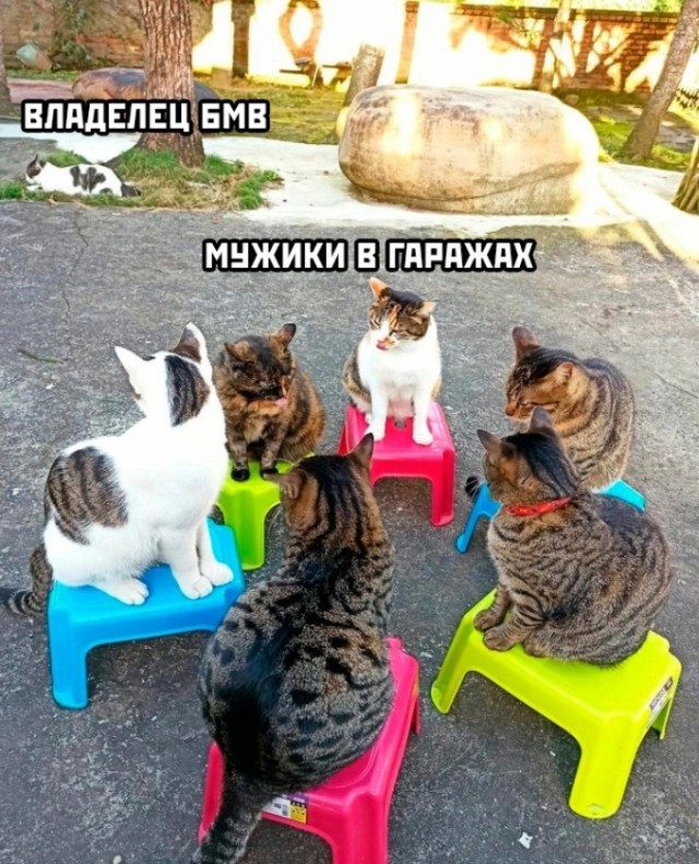 Картинки и мемы для настроения - 31